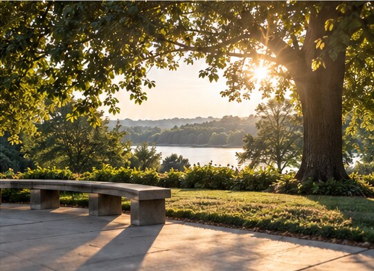 Sunlight filtering through trees beside an open landscaped path and water